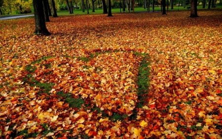 Autumn Heart - Autumn, trees, heart, Fall, grass, park, leaves