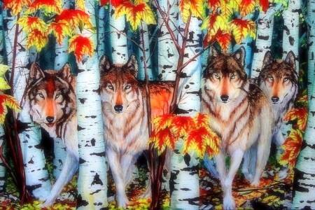 Autumn Wolves - paintings, colors, fall season, leaves, wolves, forests, dogs, autumn, love four seasons, animals, wildlife