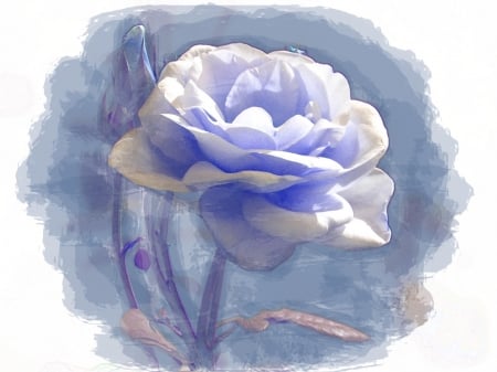 Blue Rose - painting, blue, beautiful, flowers, rose