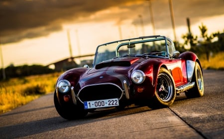 Ford Shelby Cobra - Car, Ford, muscle car, vintage, classic, auto, Cobra, Shelby