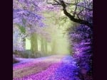 Purple lane