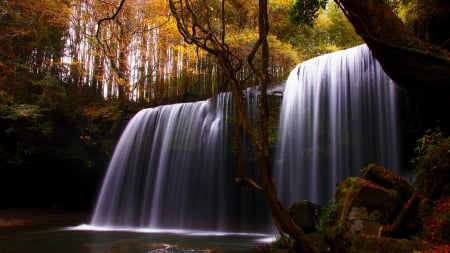 WATERFALL - NATURE, TREES, LEAVES, WATER