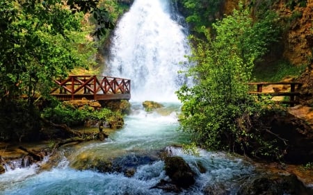 WATERFALL - leaves, trees, nature, water