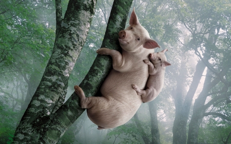 Funny pigs - pig, animal, funny, love, tree