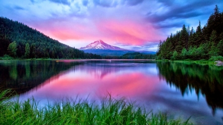 LAKE - water, colors, sky, trees