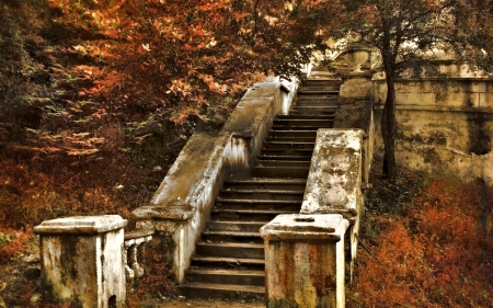 Stairs in the Forest - Forest, Autumn, Tree, Nature