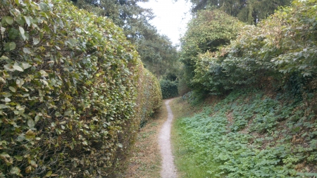 A Path, part III - autumn, snapshot, photography, leaf, path, fall, green, photograph, outside, way, day, nature, daytime, leafs, leaves, stones, photo, gray