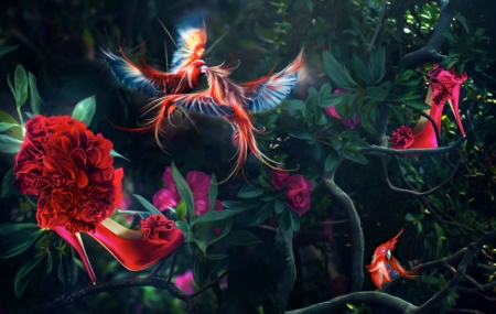 Birds of Paradise - fantasy, birds, beautiful, red, paradise, heels