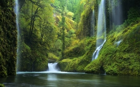 Beautiful Forest Waterfalls - waterfall, forest, trees, nature