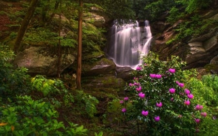 Hidden Waterfall in a Forest - flowers, waterfall, forest, nature