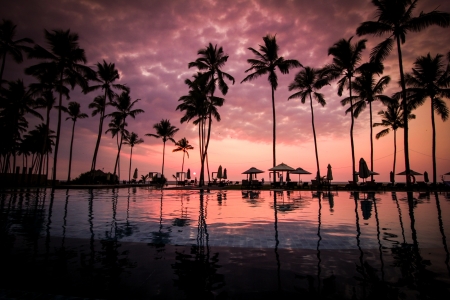 Palm Trees Beside Calm Lake - lake, trees, paradise, sunset, hotel, palm, nature, clouds, island, pool, dreamy