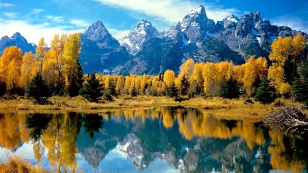 Shore of the Lake - yellowish, autumn, lake, mountain, trees, landscape, mountains, shore, nature, forest, reflection, mirror, clouds