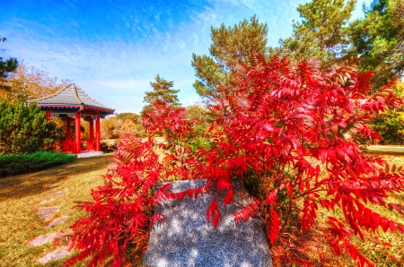 Red autumnb shrub - trees, shrub, beautiful, fall, colorful, bush, autumn, red, gazebo, foliage