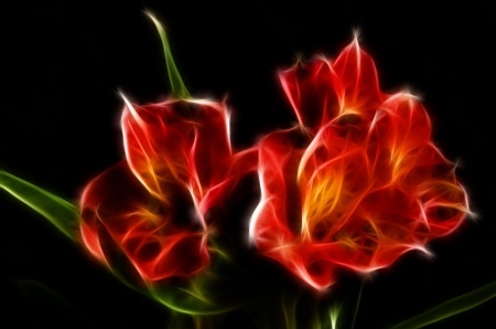 Fractal flowers - fractal, art, abstract, red, flower