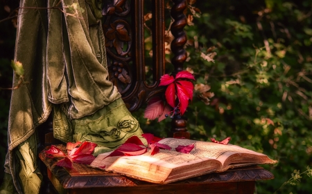 Pause - chair, autumn, garden, book