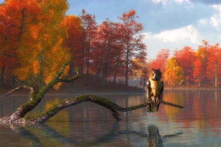 Owl Lake of Autumn - attractions in dreams, autumn, trees, animals, nature, lakes, love four seasons, paintings, owl, colors, fall season