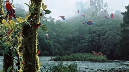 â€¢áƒ¦âœ¿áƒ¦â€¢ - cheetah, panorama, river, nature, birds