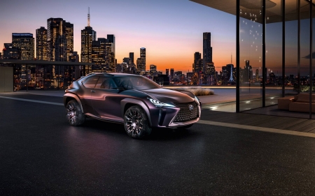 2016 Lexus UX Luxury