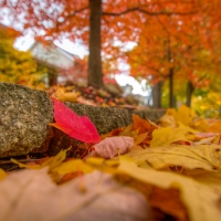 Autumn in Ohio