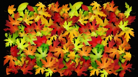 Color of Many Leaves