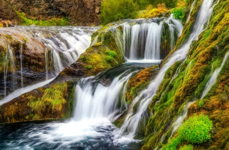 Forest waterfall in early autumn - early, autumn, cascades, stream, waterfall, fall, forest, beautiful, grass