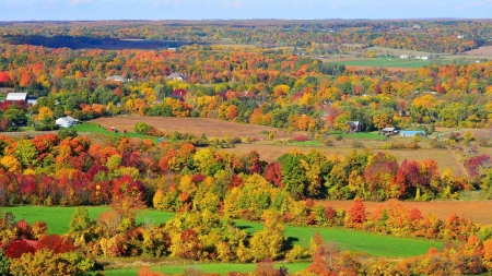 Stunning Autumn Scenery Panorama - Trees, Autumn, Fall Season, Nature, Scenery, Landscapes