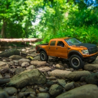 Raptor Woods
