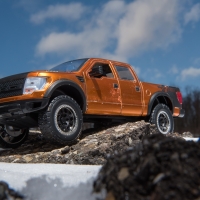 Winter Raptor