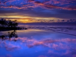 Amazing Purple Sunset