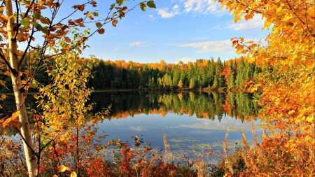 Different Shades of Autumn - nature, sky, autumn, lake, fall, trees, forest, clouds