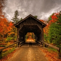 Covered Bridge In Autumn