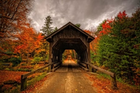 Covered Bridge In Autumn - sky, autumn, trees, covered bridge, road, fall, clouds, leaves, bridge