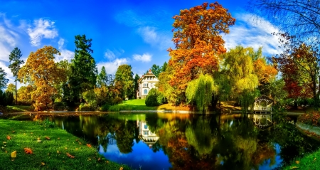 Blue October Sky - nature, sky, autumn, pond