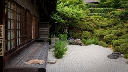 Japanese House - house, japan, garden, zen, cat, japanese