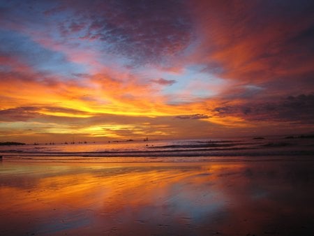 Tampa Sunset - sea, sand, beach, bay