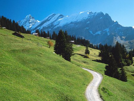 Bernese Oberland Switzerland - trees, europe paradise, mountains, meadow, road, peaks, village, snowy, switzerland