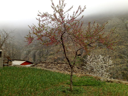 ivaz - spring, mountain