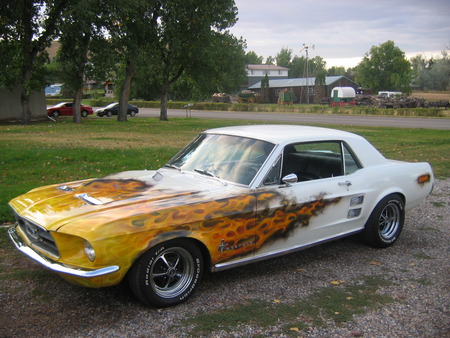 No Touch - flames, street rod, resto rod, mustang