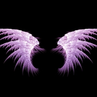 Purple Angel Wings