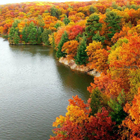 forest autumn colors