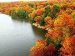 forest autumn colors