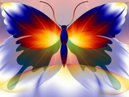 Colorful butterfly - butterfly, abstract, vector, animal