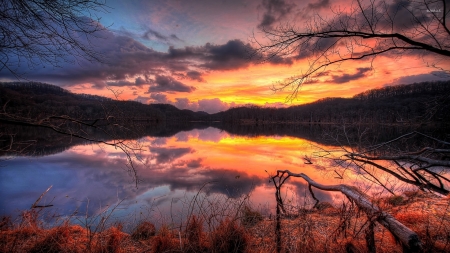 Golden Sunset Reflecting in the Lake - clouds, trees, forest, reflection, fall, sunset, nature, lake, sky