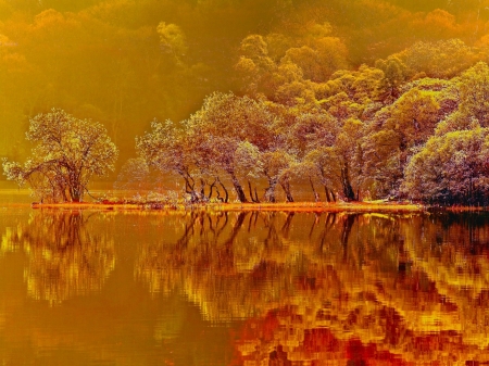 REFLECTION - trees, water, colors, autumn