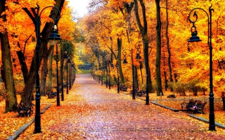 â€¢áƒ¦âœ¿áƒ¦â€¢ - hd, nature, fall, autumn, park