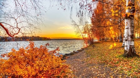 •ღ✿ღ• - fall, river, nature, autumn, HD