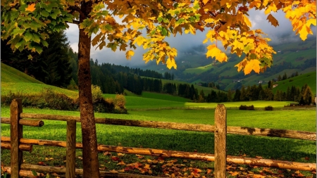 â€¢áƒ¦âœ¿áƒ¦â€¢ - farm, fence, landscape, tree, nature, hd, autumn