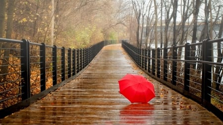 •ღ✿ღ• - umbrella, nature, walkway, rain