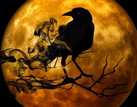 Crow at Night - moon, halloween, artwork, shadows, tree