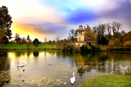 Swan Pond - Pond, Nature, Swan, Sky